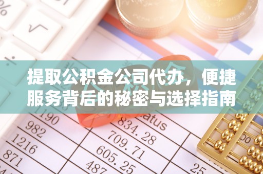 梅山提取公积金公司代办，便捷服务背后的秘密与选择指南