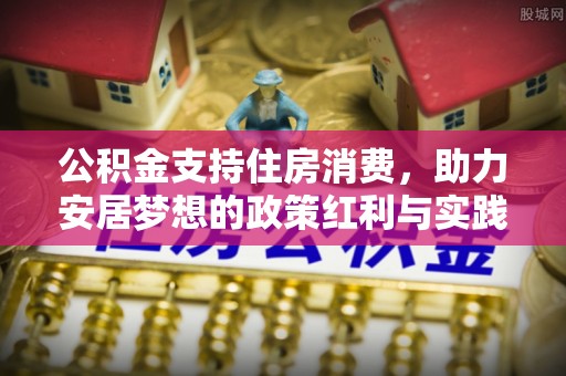 梅山公积金支持住房消费，助力安居梦想的政策红利与实践