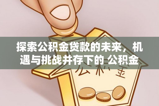 梅山探索公积金贷款的未来，机遇与挑战并存下的 公积金贷款风险防控