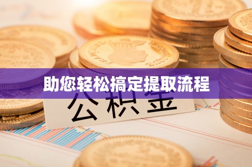 梅山助您轻松搞定提取流程