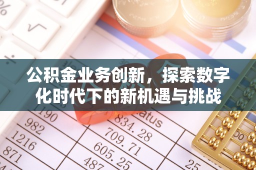 梅山公积金业务创新，探索数字化时代下的新机遇与挑战