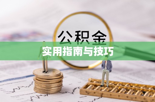梅山实用指南与技巧