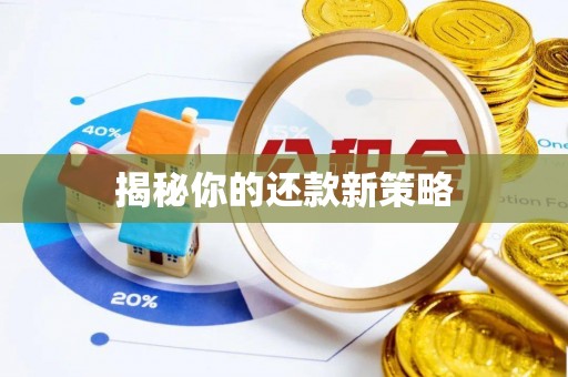 梅山揭秘你的还款新策略