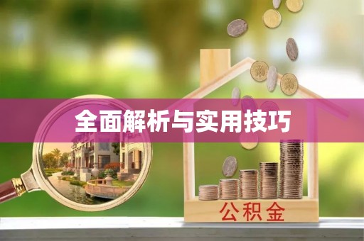 梅山全面解析与实用技巧