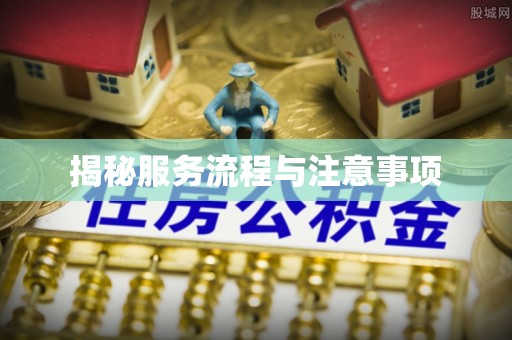 梅山揭秘服务流程与注意事项