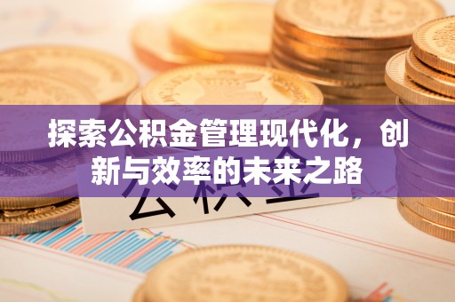 梅山探索公积金管理现代化，创新与效率的未来之路