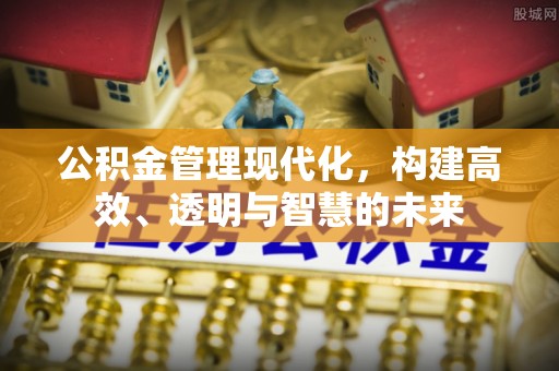 梅山公积金管理现代化，构建高效、透明与智慧的未来