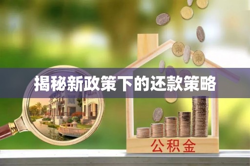 梅山揭秘新政策下的还款策略