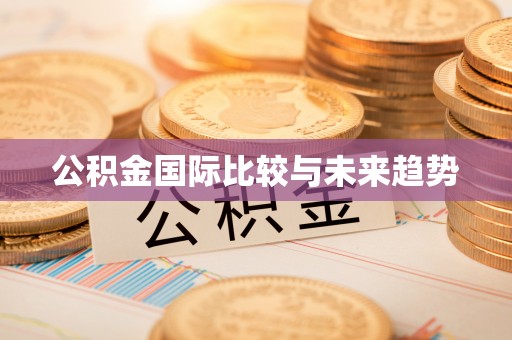 梅山公积金国际比较与未来趋势