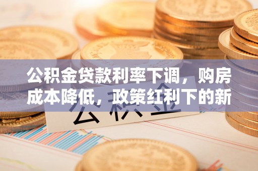 梅山公积金贷款利率下调，购房成本降低，政策红利下的新机遇