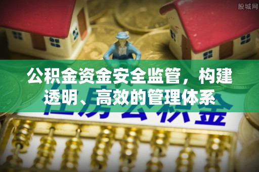 梅山公积金资金安全监管，构建透明、高效的管理体系