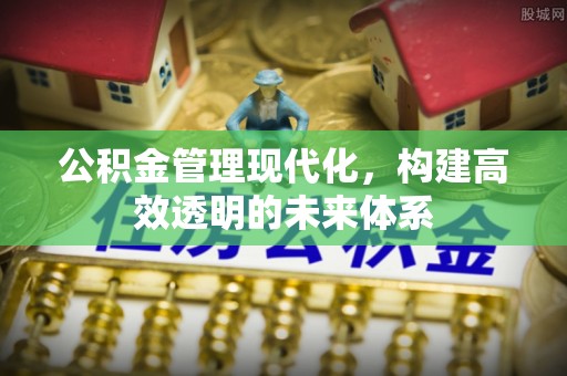 梅山公积金管理现代化，构建高效透明的未来体系