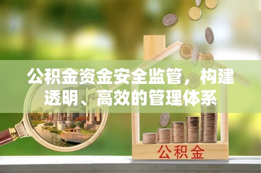 梅山公积金资金安全监管，构建透明、高效的管理体系