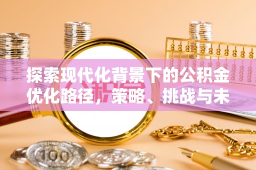 梅山探索现代化背景下的公积金优化路径，策略、挑战与未来展望