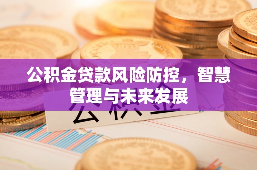梅山公积金贷款风险防控，智慧管理与未来发展