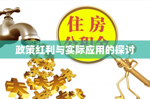 梅山政策红利与实际应用的探讨