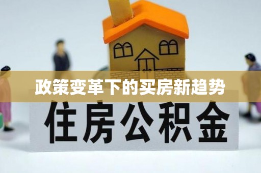 梅山政策变革下的买房新趋势