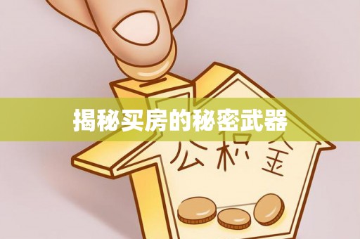 梅山揭秘买房的秘密武器