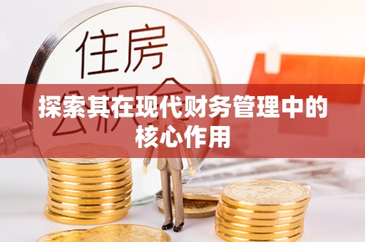 梅山探索其在现代财务管理中的核心作用