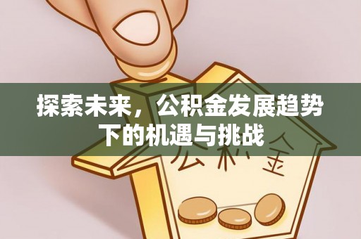 梅山探索未来，公积金发展趋势下的机遇与挑战