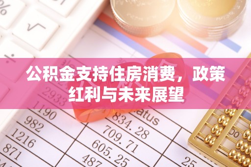 梅山公积金支持住房消费，政策红利与未来展望