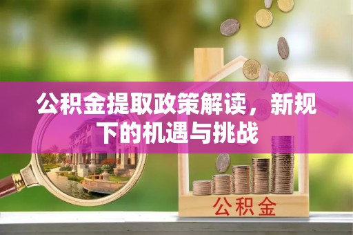 梅山公积金提取政策解读，新规下的机遇与挑战