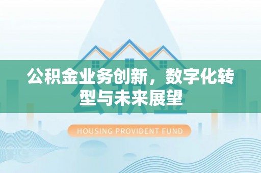 梅山公积金业务创新，数字化转型与未来展望