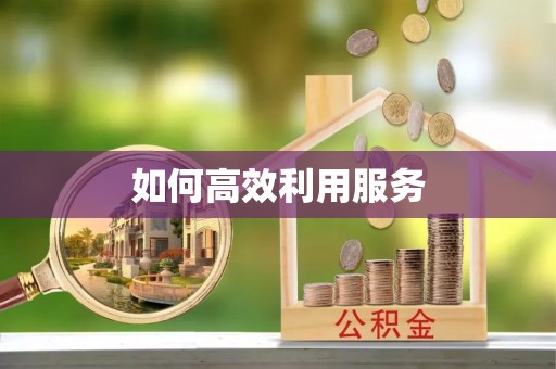 梅山如何高效利用服务