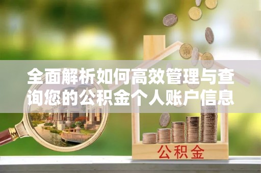 梅山全面解析如何高效管理与查询您的公积金个人账户信息