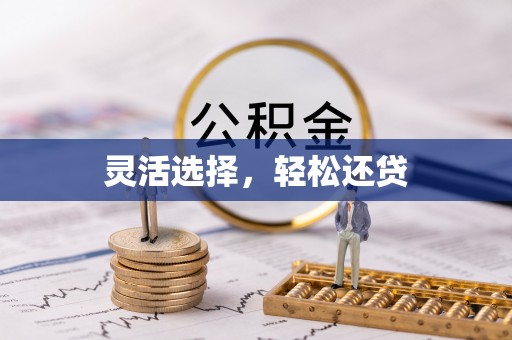 梅山灵活选择，轻松还贷