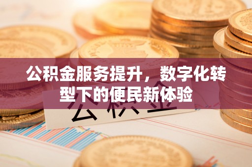 梅山公积金服务提升，数字化转型下的便民新体验