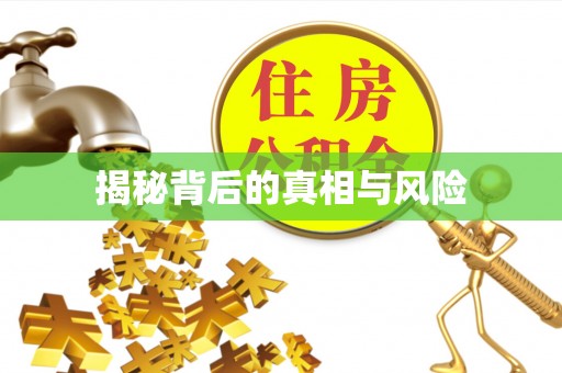 梅山揭秘背后的真相与风险