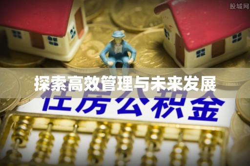 梅山探索高效管理与未来发展