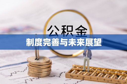 梅山制度完善与未来展望