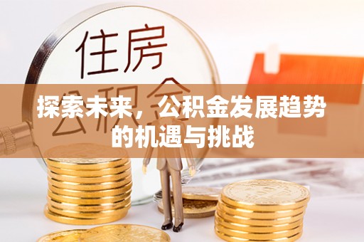 梅山探索未来，公积金发展趋势的机遇与挑战