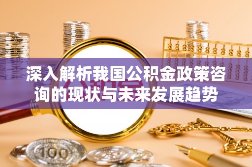 梅山深入解析我国公积金政策咨询的现状与未来发展趋势