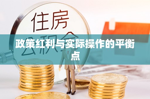 梅山政策红利与实际操作的平衡点