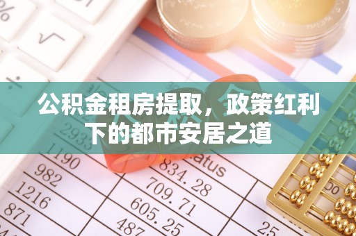 梅山公积金租房提取，政策红利下的都市安居之道