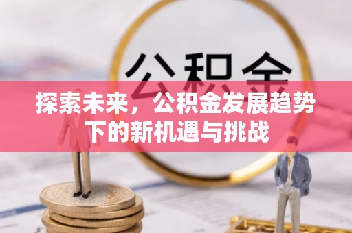梅山探索未来，公积金发展趋势下的新机遇与挑战