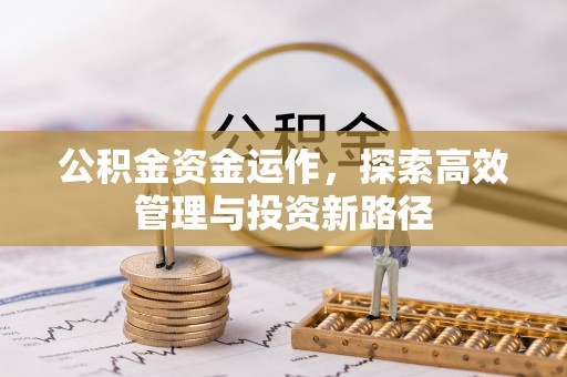 梅山公积金资金运作，探索高效管理与投资新路径