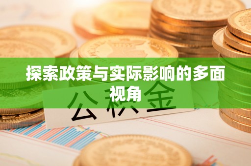 梅山探索政策与实际影响的多面视角