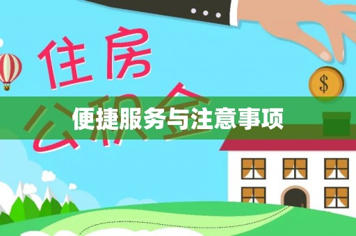 梅山便捷服务与注意事项