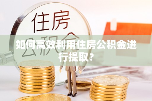梅山如何高效利用住房公积金进行提取？