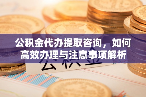 梅山公积金代办提取咨询，如何高效办理与注意事项解析