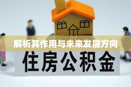梅山解析其作用与未来发展方向