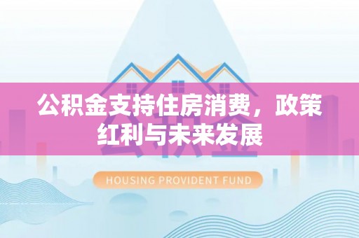 梅山公积金支持住房消费，政策红利与未来发展